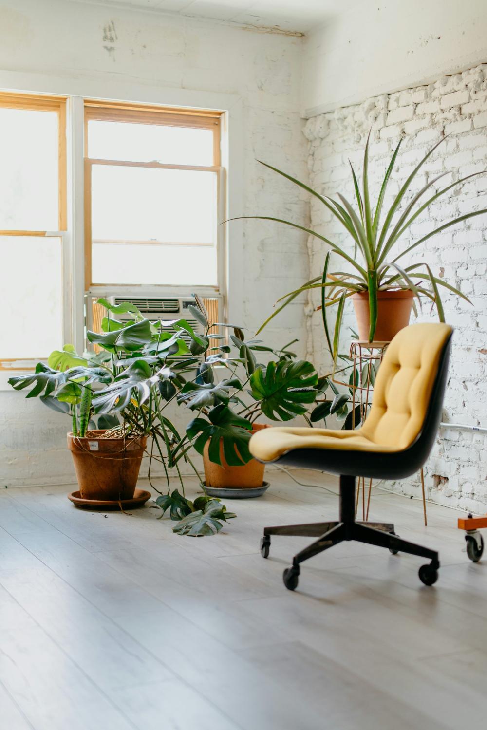 Silla al lado de macetas con plantas