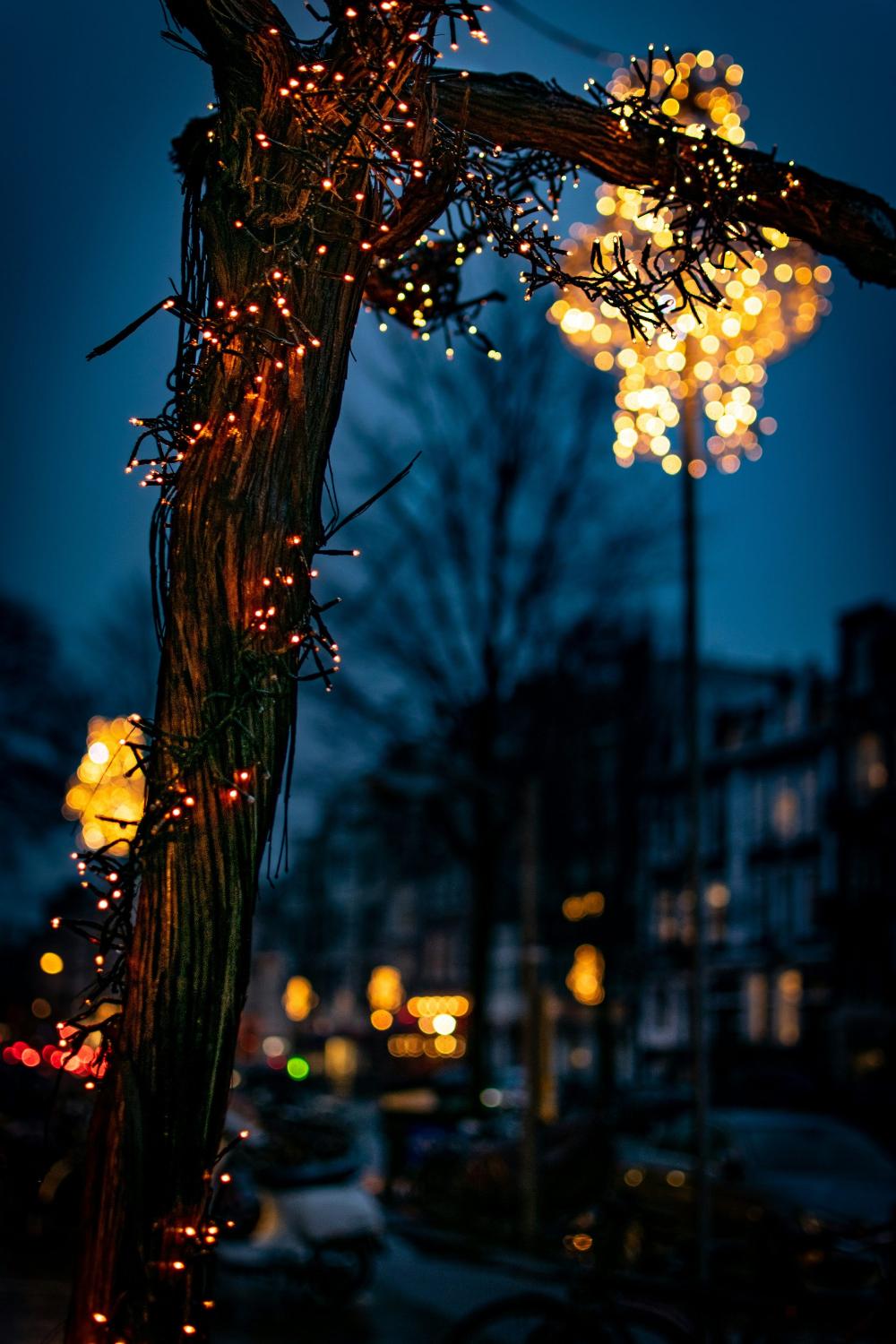 Tronco decorado con luces