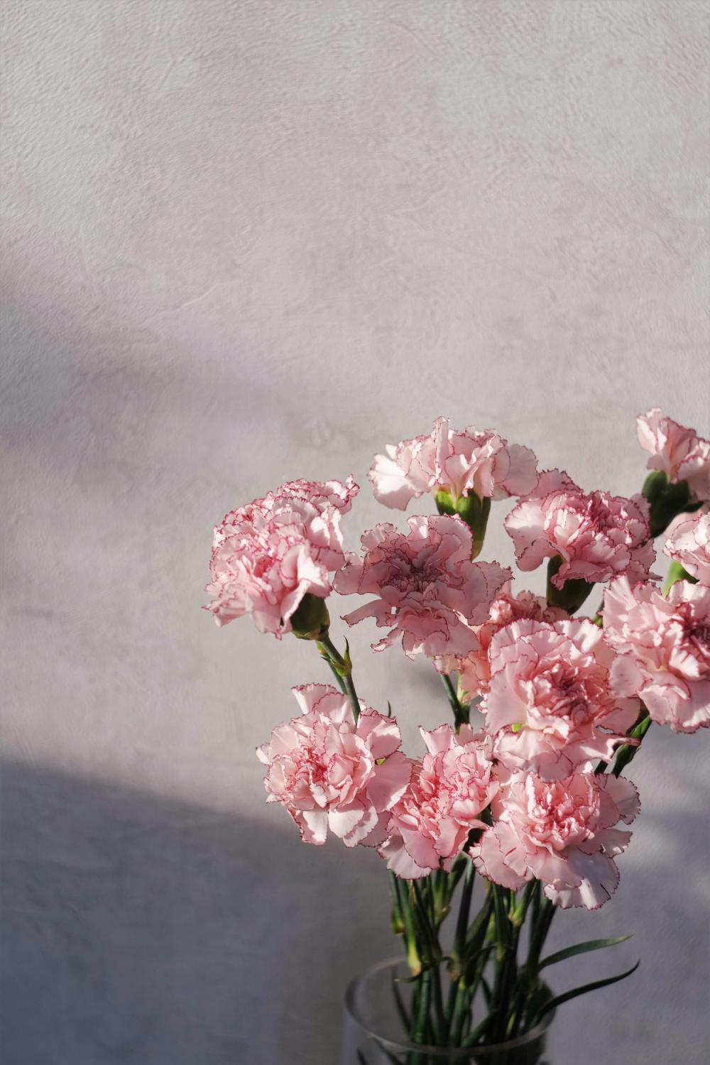 Clavel